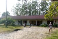 Mess karyawan rusak parah usai di amuk gajah sumatera di Siak