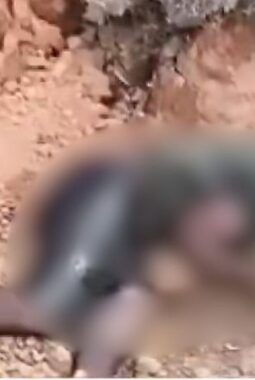 Seorang Pria Ditemukan Tewas Terlungkup di Lokasi Galian C Tenayan Raya Pekanbaru