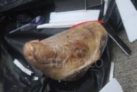 Paket berisi kepala babi yang ditujukan kepada wartawan Tempo, Francisca Christy Rosana di kantor Tempo, Palmerah, Jakarta, 20 Maret 2025. (Tempo/Gunawan Wicaksono)