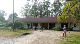 Mess karyawan rusak parah usai di amuk gajah sumatera di Siak
