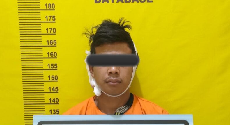 foto slider headline