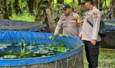 Tak Hanya Jaga Kamtibmas, Polsek Lirik Aktif Kawal Program Budidaya Ikan Nila dan Lele Binaan