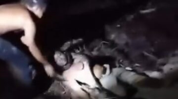 Niat Tangkap Ular, Warga Rantau Kopar Rohil Koma dan Jalani Perawatan Instensif di RSUD Mandau