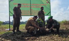 Cegah Abrasi dan Banjir, Kodim 0302/Inhu Lakukan Aksi Nyata Bersama Warga Hijaukan Bantaran Sungai