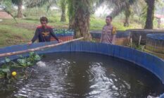 Polsek Lirik Pantau Pembesaran 10.000 Bibit Lele Milik BUMDes Rejosari