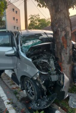 Diduga Hilang Kendali, Toyota Calya Tabrak Pohon di Tikungan Tong Susu Jalan Sudirman Pekanbaru