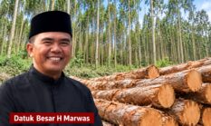 Polemik Fee Kayu Akasia Rantau Kasih Kembali Disorot, Datuk Marwas Sampaikan Klarifikasi